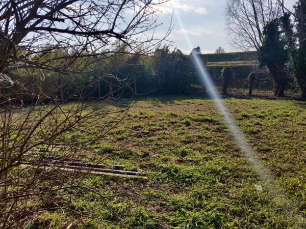 terreno agricolo in vendita a Porto Viro