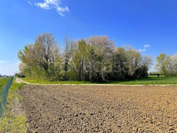 terreno agricolo in vendita ad Aiello del Friuli