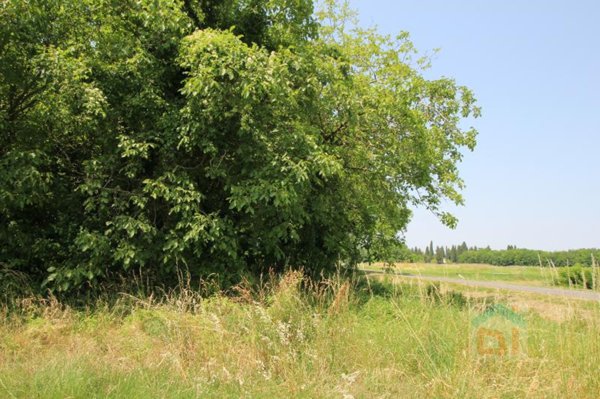 terreno agricolo in vendita ad Aiello del Friuli