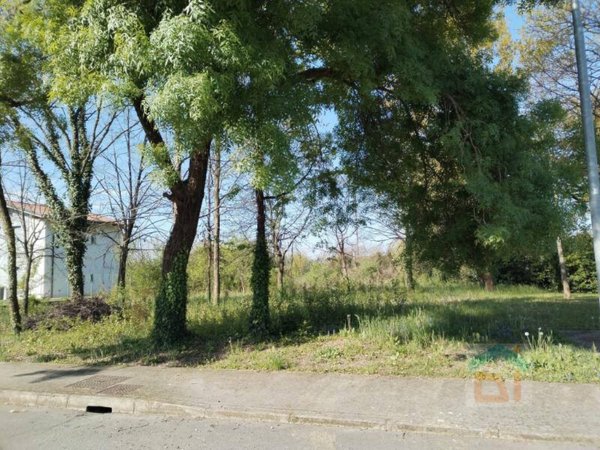 terreno agricolo in vendita ad Aiello del Friuli