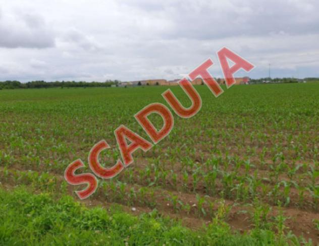 terreno agricolo in vendita ad Aiello del Friuli