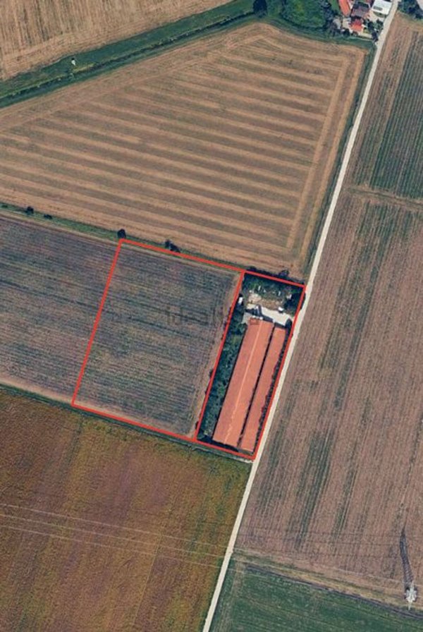 terreno agricolo in vendita ad Aiello del Friuli