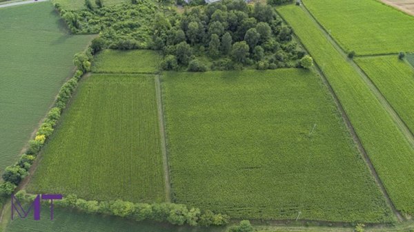 terreno agricolo in vendita ad Aiello del Friuli