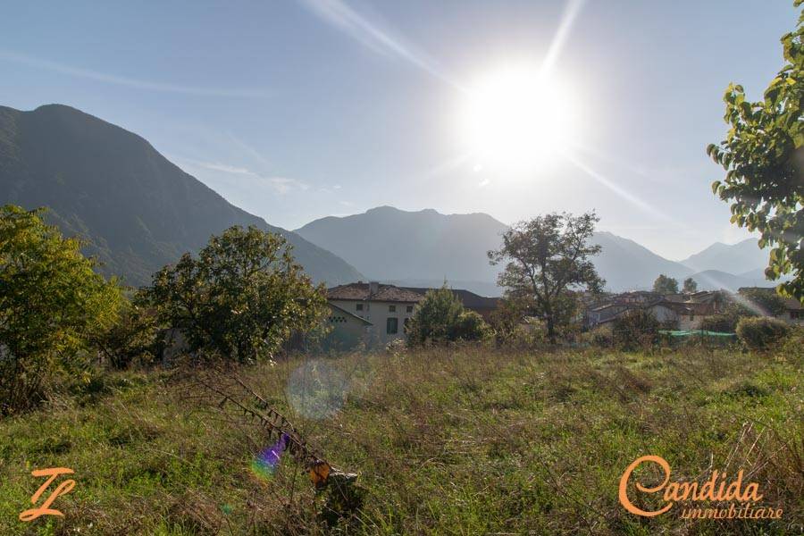terreno agricolo in vendita ad Amaro