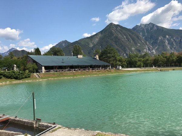 negozio in vendita ad Amaro