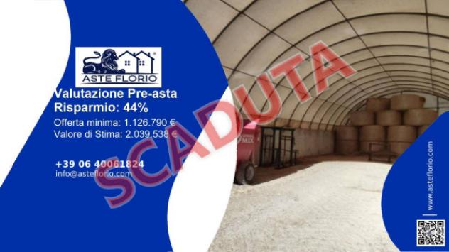 pentavano in vendita ad Aquileia