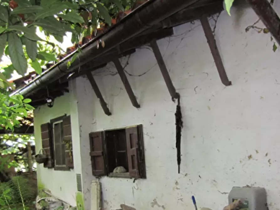 immagine annuncio 0 di 13