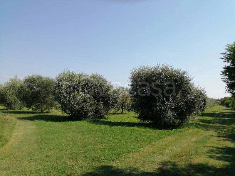 casa indipendente in vendita a Bagnaria Arsa in zona Castions delle Mura