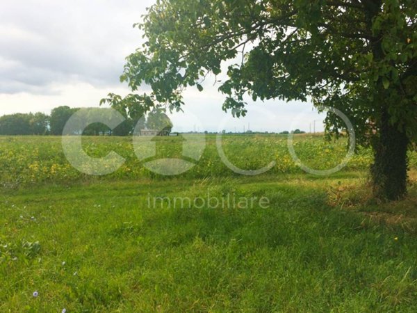 casa indipendente in vendita a Bagnaria Arsa