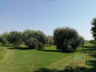 casa indipendente in vendita a Bagnaria Arsa in zona Castions delle Mura