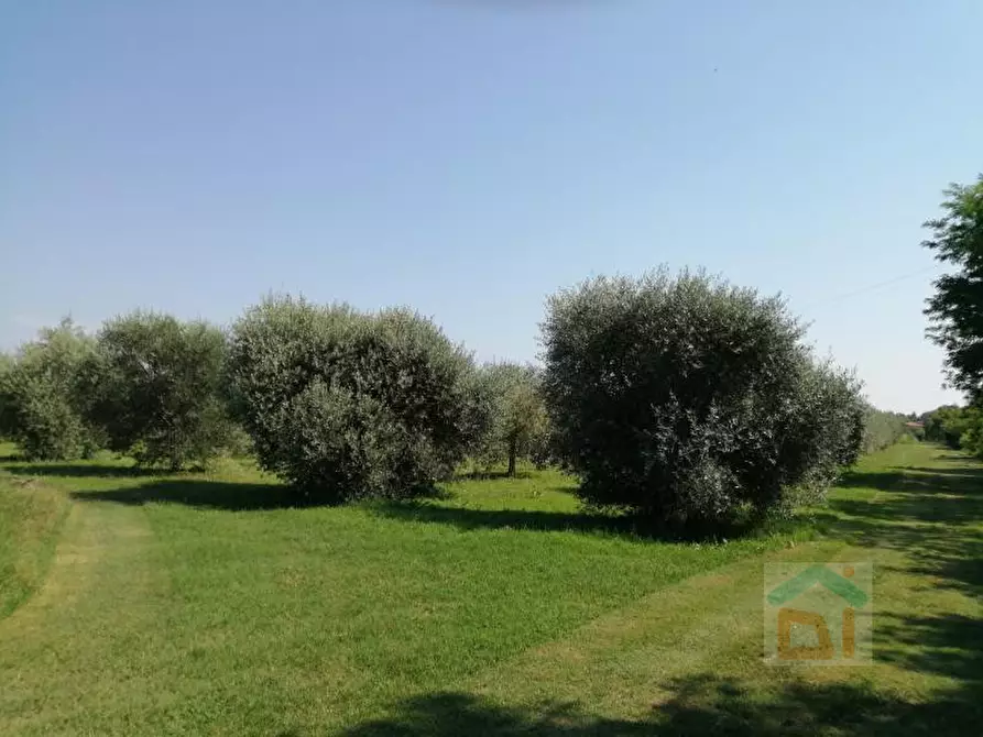 casa indipendente in vendita a Bagnaria Arsa in zona Castions delle Mura