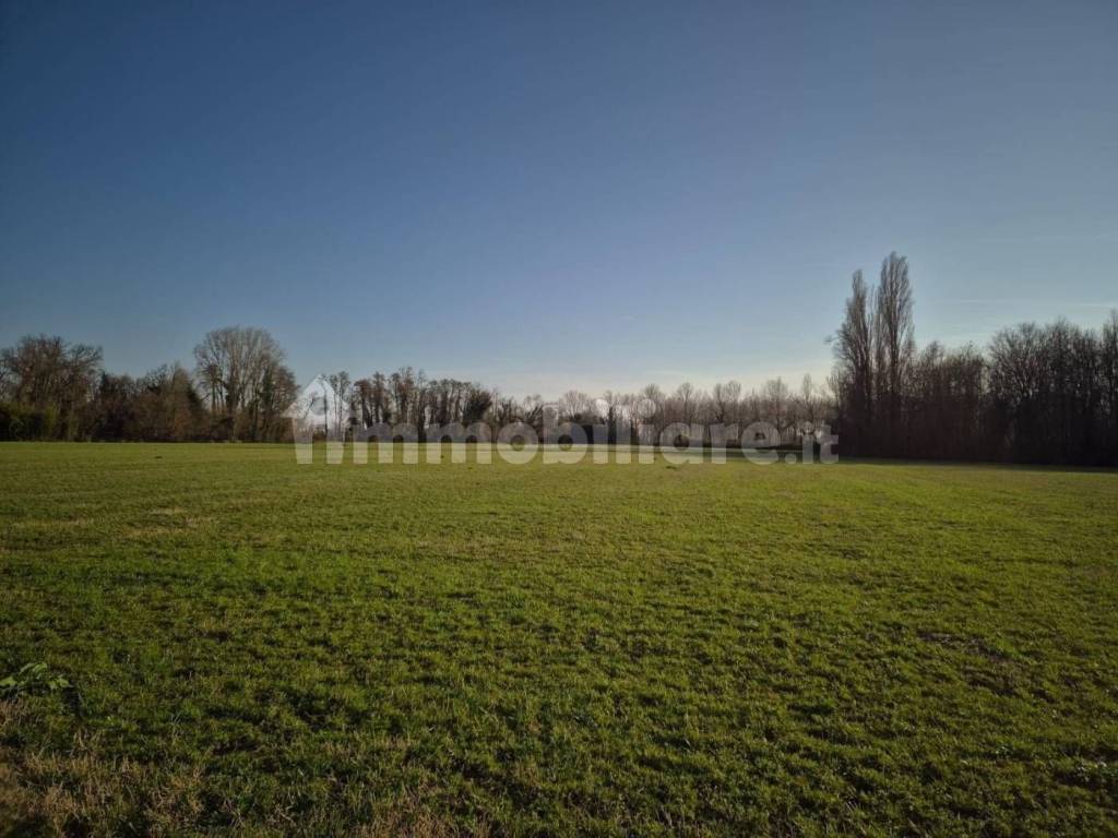 terreno agricolo in vendita a Bagnaria Arsa