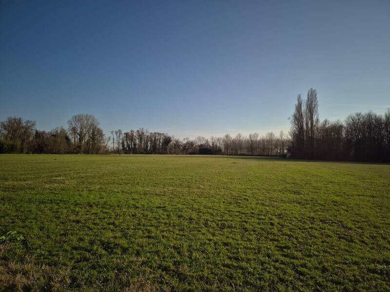 terreno agricolo in vendita a Bagnaria Arsa