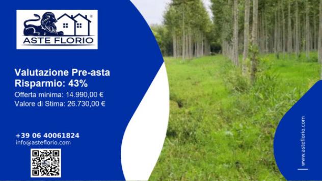 terreno edificabile in vendita a Bagnaria Arsa in zona Privano
