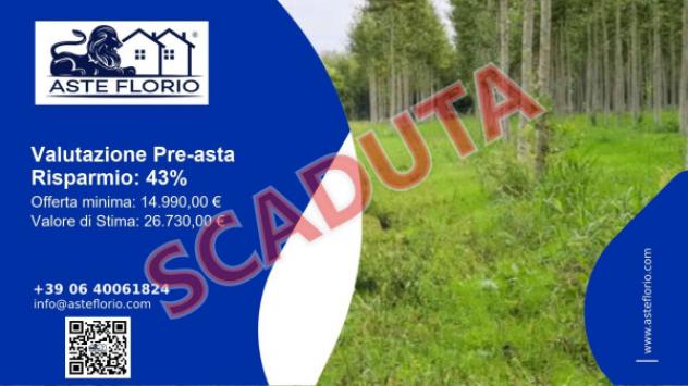 terreno agricolo in vendita a Bagnaria Arsa