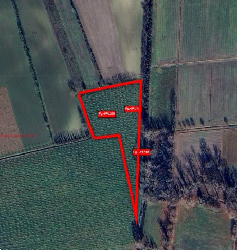 terreno agricolo in vendita a Bagnaria Arsa in zona Privano