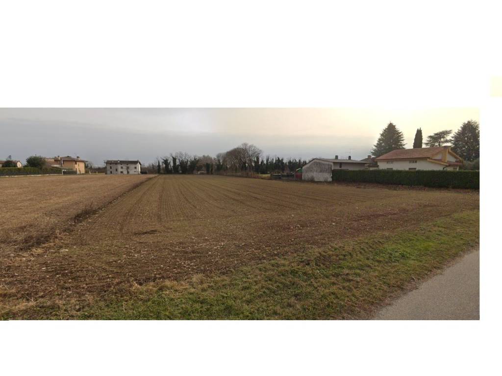 terreno agricolo in vendita a Basiliano