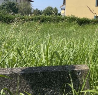 terreno edificabile in vendita a Basiliano