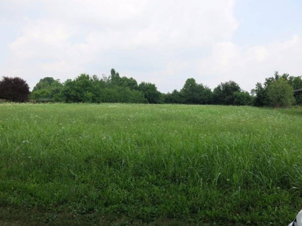 terreno agricolo in vendita a Basiliano