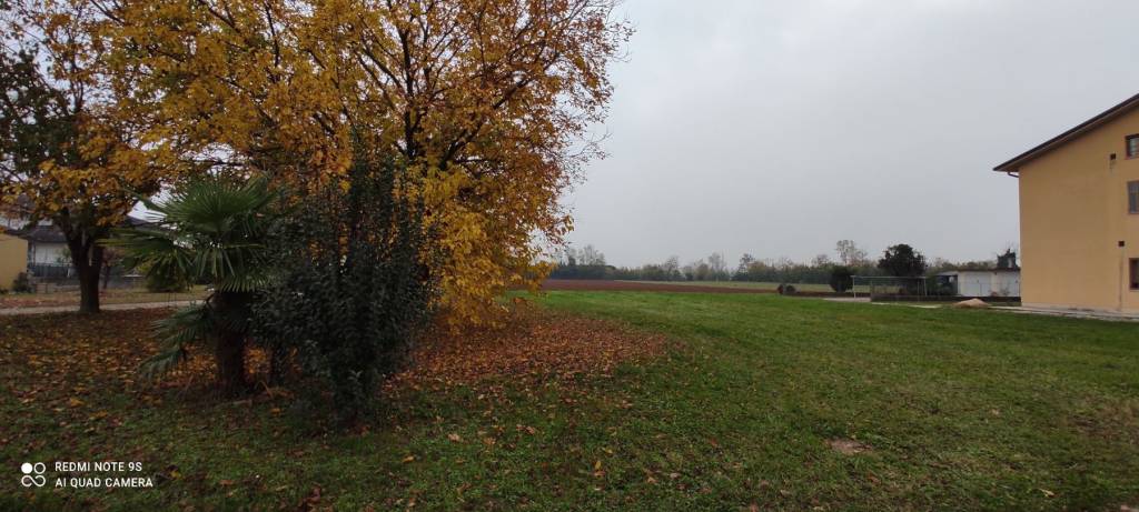 terreno agricolo in vendita a Basiliano