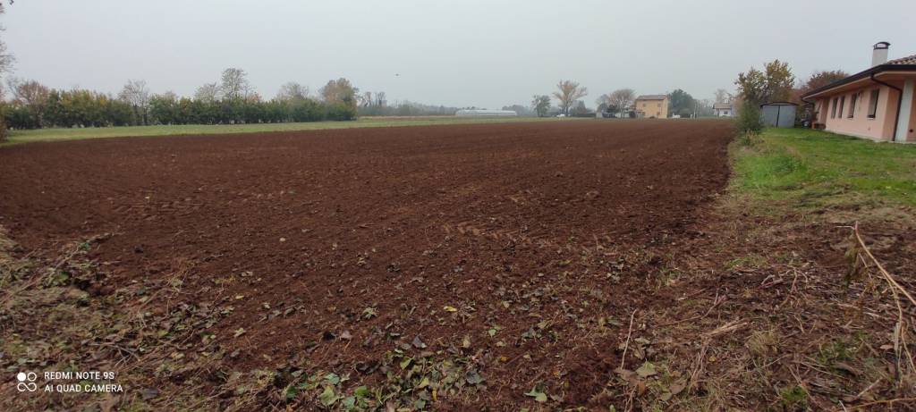 terreno agricolo in vendita a Basiliano