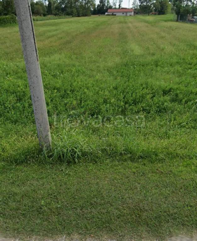 terreno agricolo in vendita a Basiliano