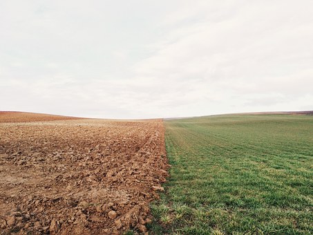 terreno agricolo in vendita a Basiliano