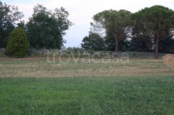 terreno edificabile in vendita a Basiliano