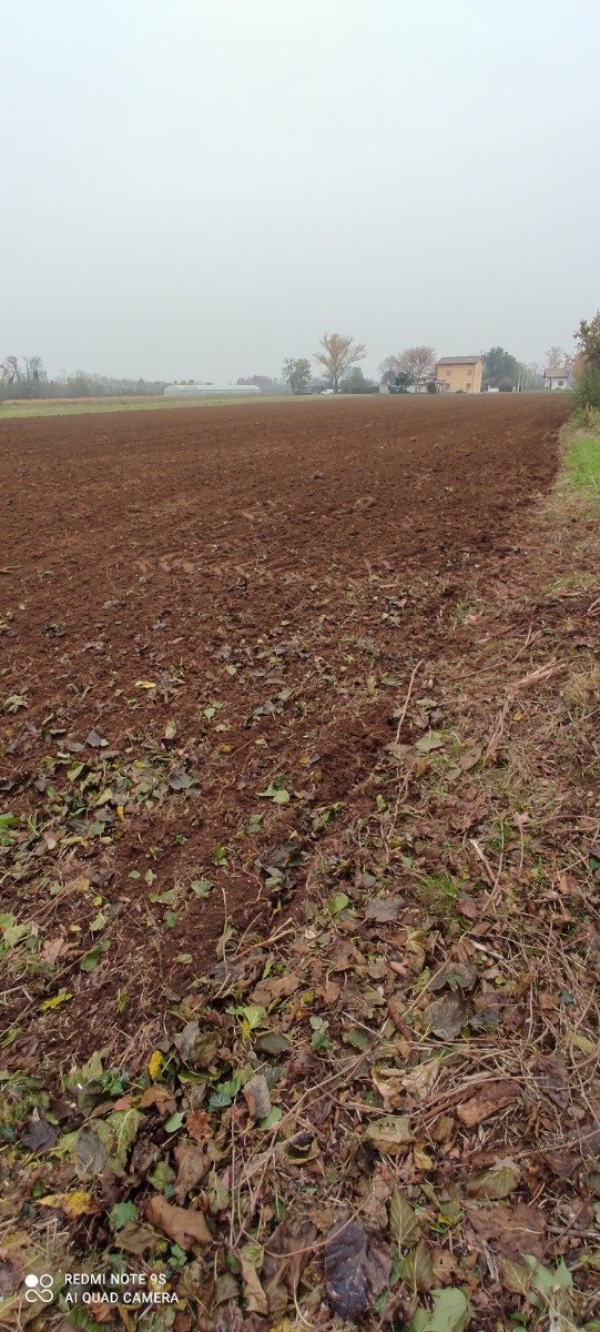 terreno agricolo in vendita a Basiliano