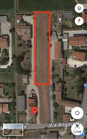 negozio in vendita a Bertiolo