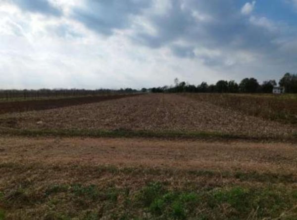terreno agricolo in vendita a Bertiolo