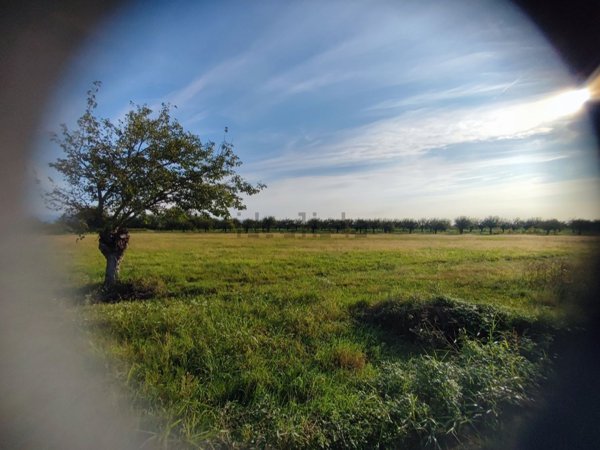 terreno agricolo in vendita a Bertiolo
