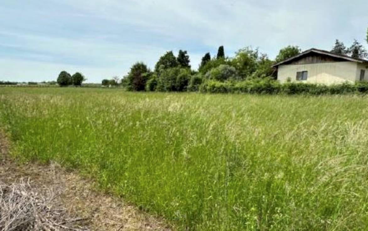 terreno edificabile in vendita a Buttrio
