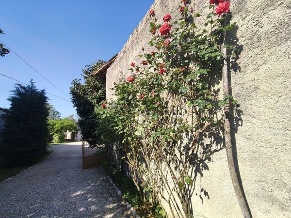 pentavano in vendita a Buttrio