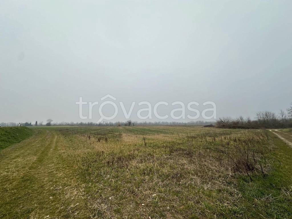 terreno agricolo in vendita a Buttrio