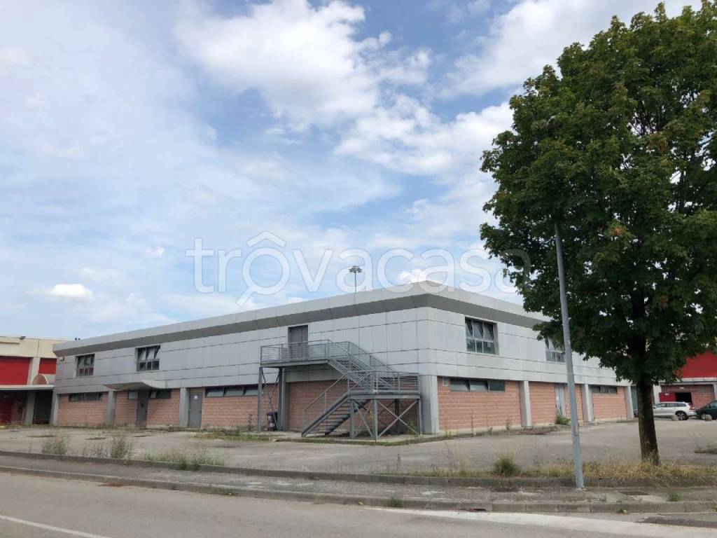 negozio in vendita a Buttrio