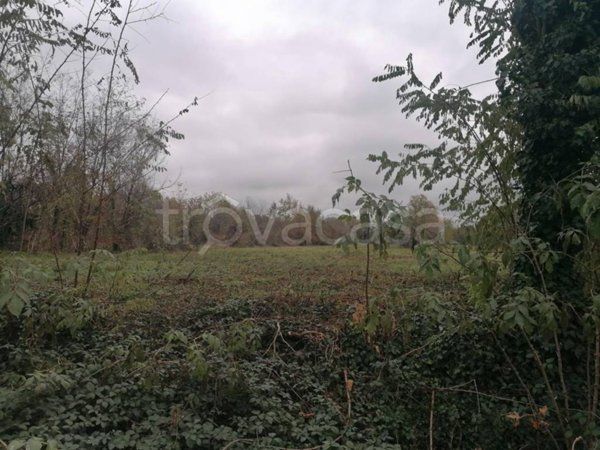 terreno agricolo in vendita a Campoformido