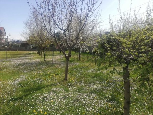 appartamento in vendita a Campoformido