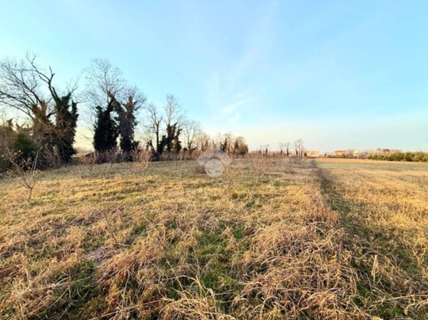 terreno agricolo in vendita a Campoformido