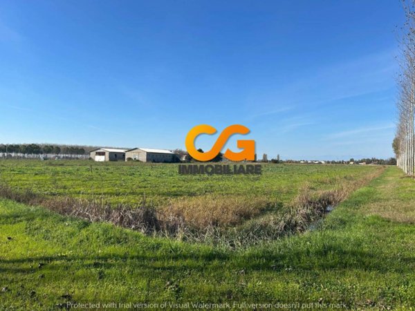 terreno agricolo in vendita a Carlino