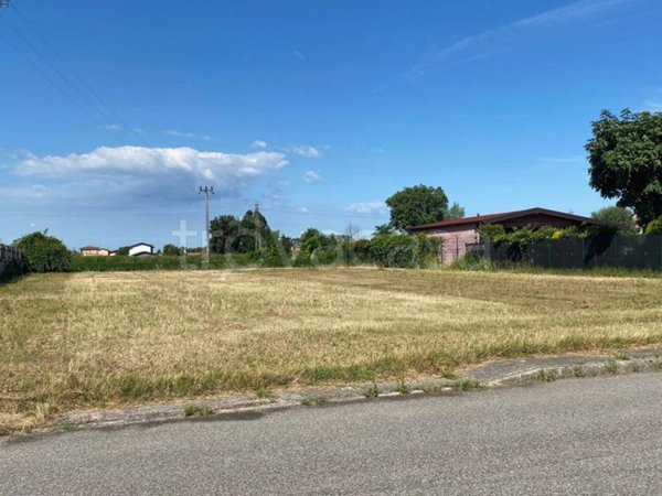 terreno agricolo in vendita a Carlino