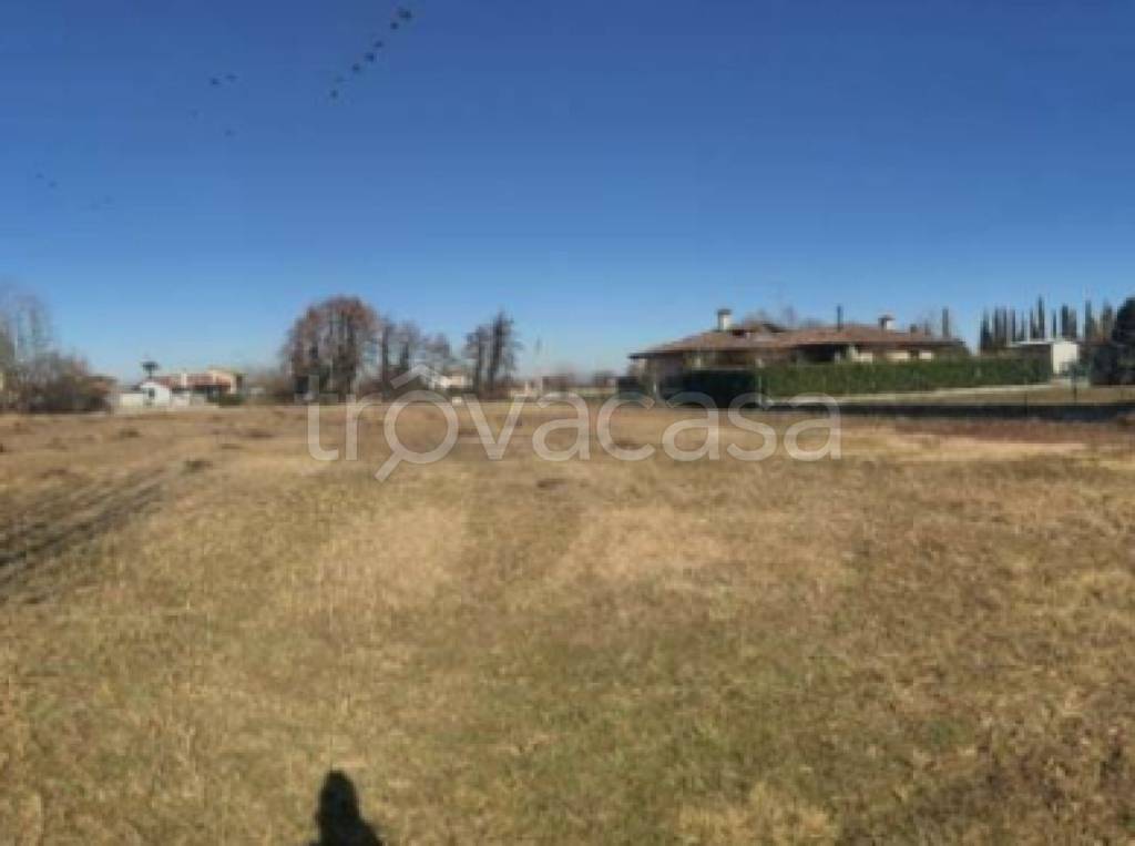 terreno agricolo in vendita a Carlino