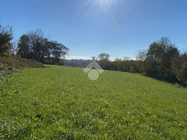 terreno agricolo in vendita a Cassacco