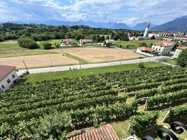 casa indipendente in vendita a Cassacco
