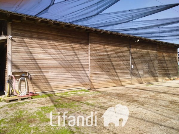 casa indipendente in vendita a Castions di Strada