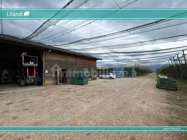 casa indipendente in vendita a Castions di Strada