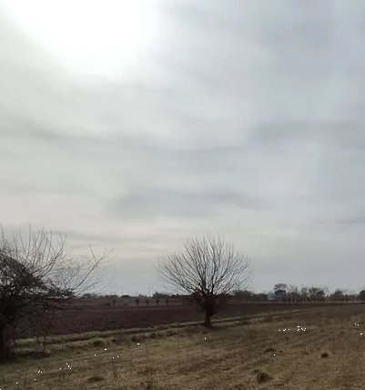 terreno agricolo in vendita a Castions di Strada