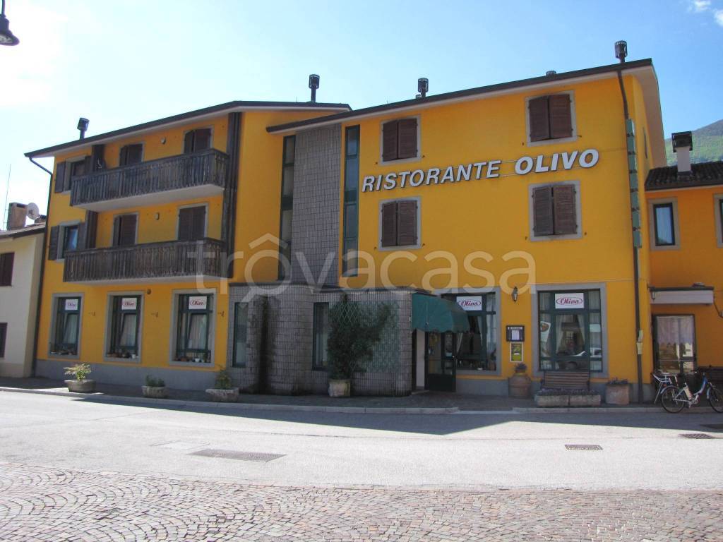 negozio in vendita a Cavazzo Carnico