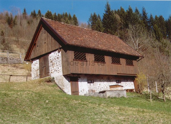 pentavano in vendita a Cercivento