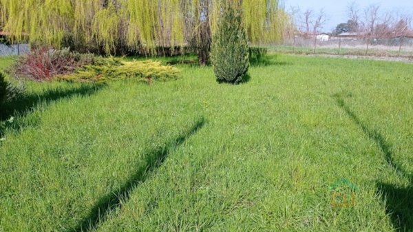 terreno edificabile in vendita a Cervignano del Friuli in zona Strassoldo